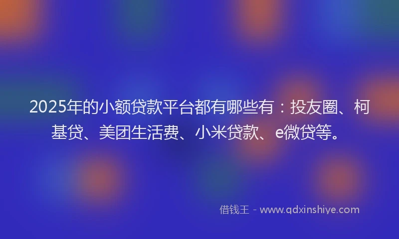 2025年的小额贷款平台都有哪些有：投友圈、柯基贷、美团生活费、小米贷款、e微贷等。
