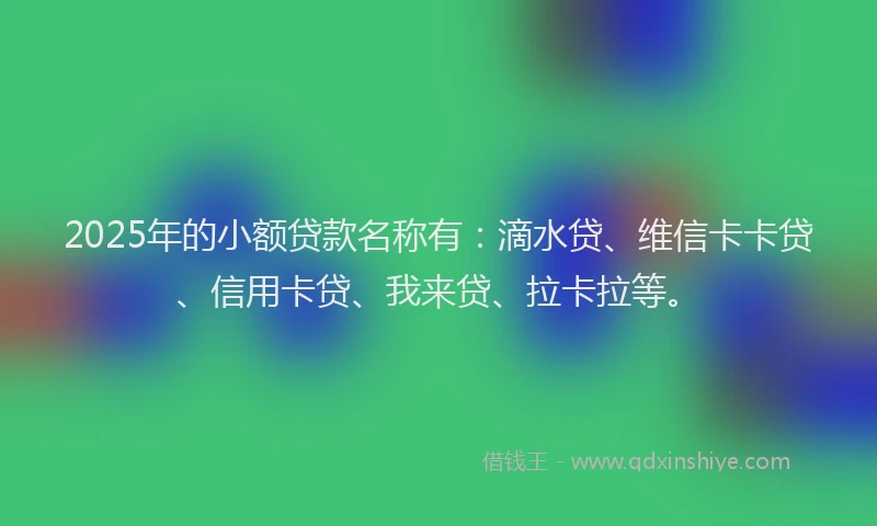 2025年的小额贷款名称有：滴水贷、维信卡卡贷、信用卡贷、我来贷、拉卡拉等。