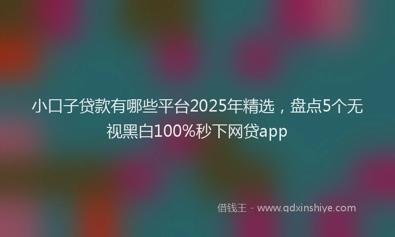 小口子贷款有哪些平台2025年精选，盘点5个无视黑白100%秒下网贷app