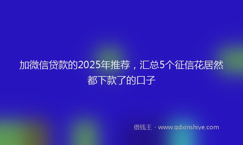 加微信贷款的2025年推荐，汇总5个征信花居然都下款了的口子