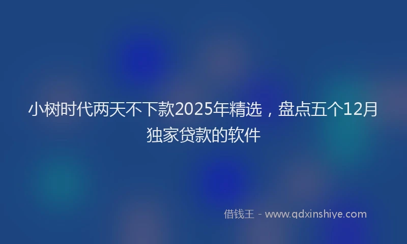 小树时代两天不下款2025年精选，盘点五个12月独家贷款的软件