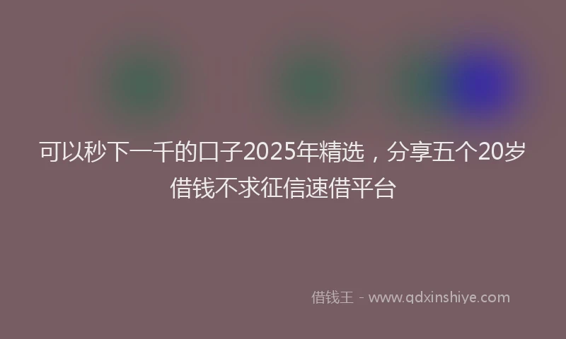 可以秒下一千的口子2025年精选，分享五个20岁借钱不求征信速借平台