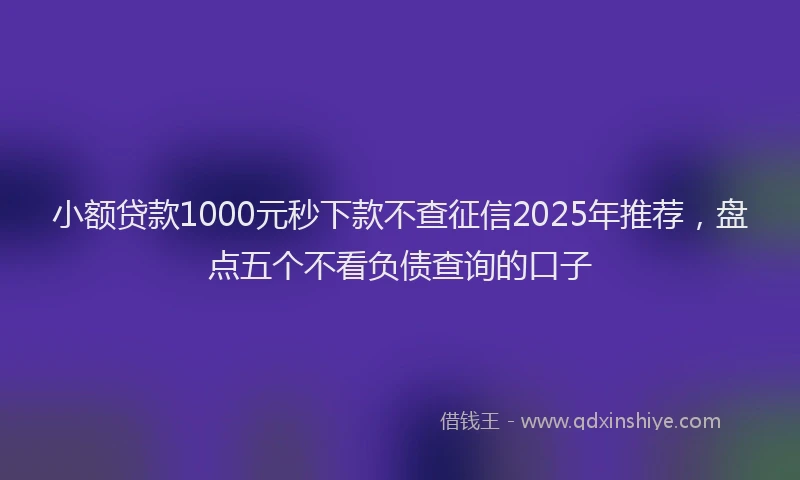 小额贷款1000元秒下款不查征信2025年推荐，盘点五个不看负债查询的口子