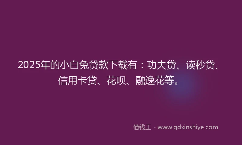 2025年的小白兔贷款下载有：功夫贷、读秒贷、信用卡贷、花呗、融逸花等。