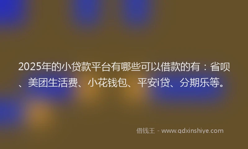 2025年的小贷款平台有哪些可以借款的有：省呗、美团生活费、小花钱包、平安i贷、分期乐等。