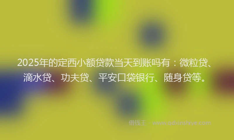 2025年的定西小额贷款当天到账吗有：微粒贷、滴水贷、功夫贷、平安口袋银行、随身贷等。