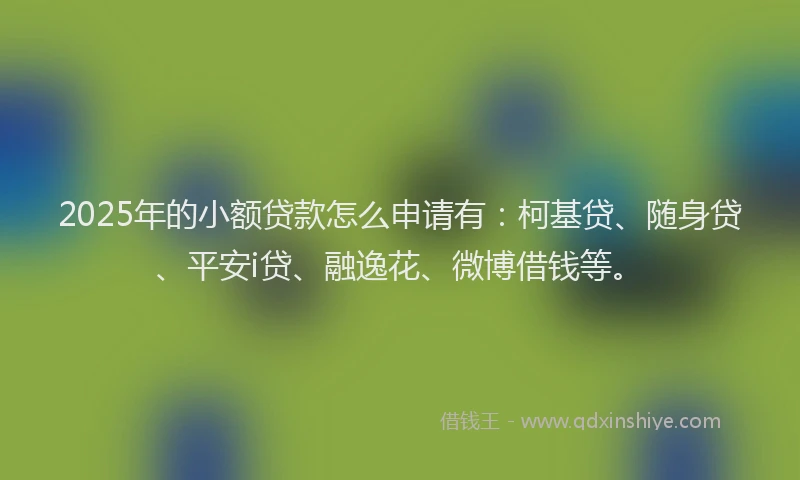 2025年的小额贷款怎么申请有：柯基贷、随身贷、平安i贷、融逸花、微博借钱等。