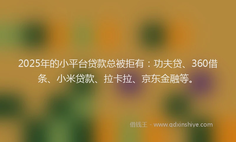 2025年的小平台贷款总被拒有：功夫贷、360借条、小米贷款、拉卡拉、京东金融等。