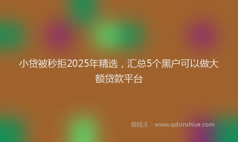 小贷被秒拒2025年精选，汇总5个黑户可以做大额贷款平台