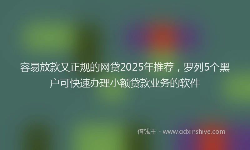 容易放款又正规的网贷2025年推荐，罗列5个黑户可快速办理小额贷款业务的软件