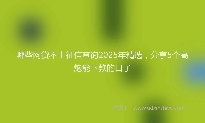 哪些网贷不上征信查询2025年精选，分享5个高炮能下款的口子