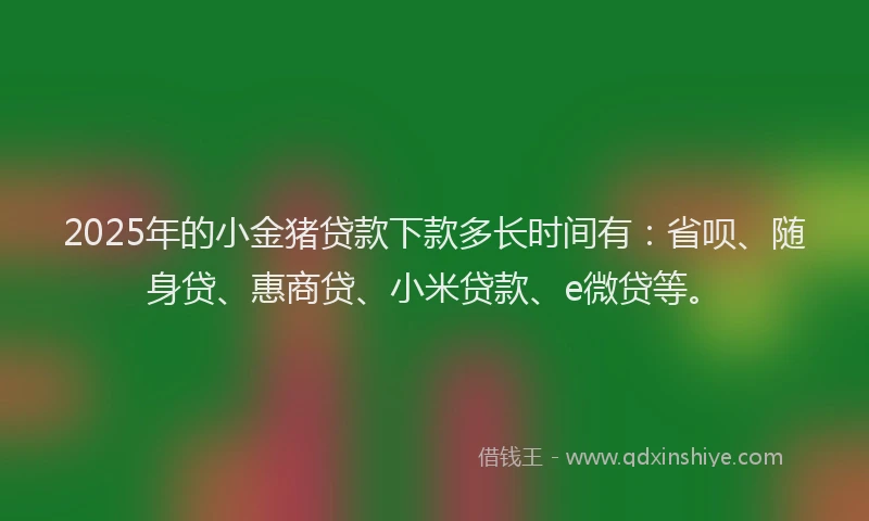 2025年的小金猪贷款下款多长时间有：省呗、随身贷、惠商贷、小米贷款、e微贷等。