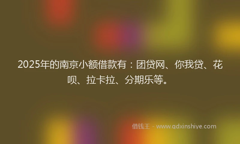 2025年的南京小额借款有：团贷网、你我贷、花呗、拉卡拉、分期乐等。