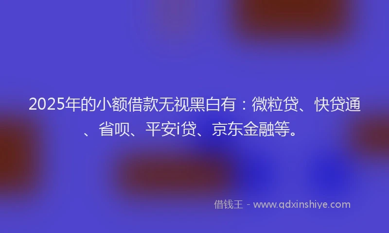 2025年的小额借款无视黑白有：微粒贷、快贷通、省呗、平安i贷、京东金融等。