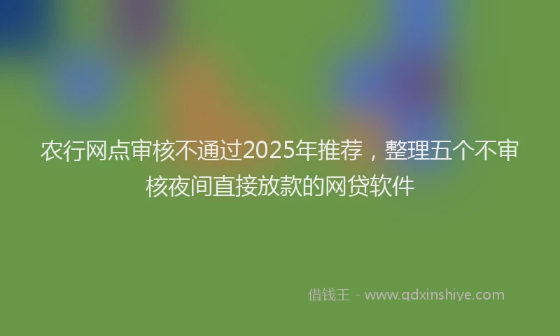 农行网点审核不通过2025年推荐，整理五个不审核夜间直接放款的网贷软件