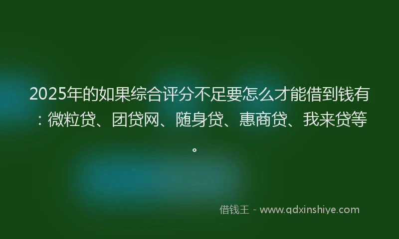 2025年的如果综合评分不足要怎么才能借到钱有：微粒贷、团贷网、随身贷、惠商贷、我来贷等。