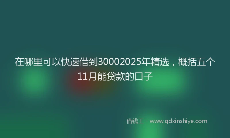 在哪里可以快速借到30002025年精选，概括五个11月能贷款的口子