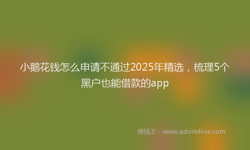 小鹅花钱怎么申请不通过2025年精选，梳理5个黑户也能借款的app