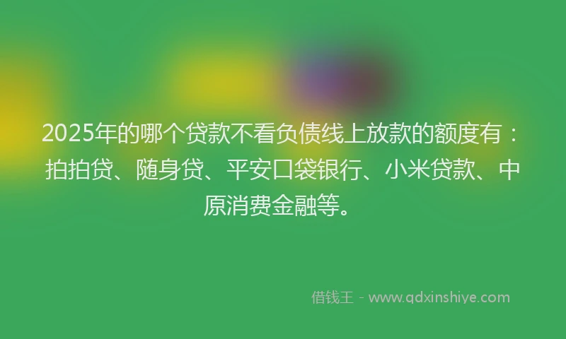 2025年的哪个贷款不看负债线上放款的额度有：拍拍贷、随身贷、平安口袋银行、小米贷款、中原消费金融等。