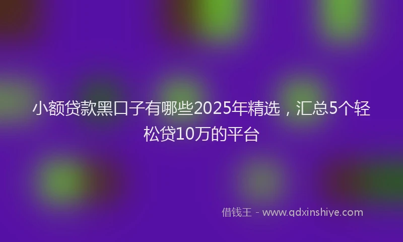 小额贷款黑口子有哪些2025年精选，汇总5个轻松贷10万的平台