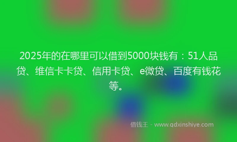 2025年的在哪里可以借到5000块钱有：51人品贷、维信卡卡贷、信用卡贷、e微贷、百度有钱花等。