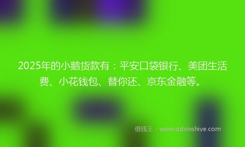 2025年的小鹅货款有：平安口袋银行、美团生活费、小花钱包、替你还、京东金融等。