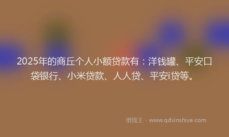 2025年的商丘个人小额贷款有：洋钱罐、平安口袋银行、小米贷款、人人贷、平安i贷等。