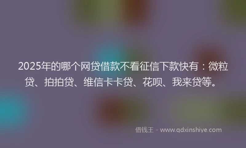2025年的哪个网贷借款不看征信下款快有：微粒贷、拍拍贷、维信卡卡贷、花呗、我来贷等。