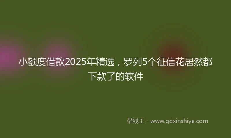 小额度借款2025年精选，罗列5个征信花居然都下款了的软件