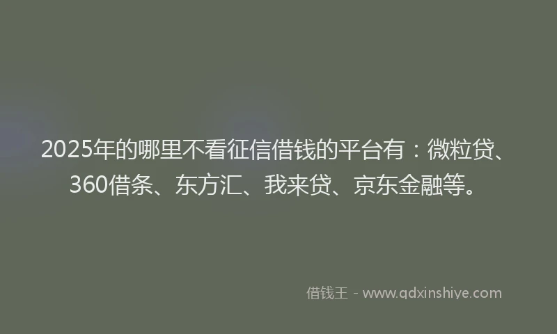 2025年的哪里不看征信借钱的平台有：微粒贷、360借条、东方汇、我来贷、京东金融等。