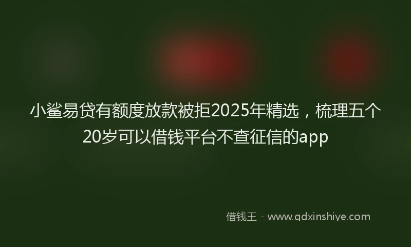 小鲨易贷有额度放款被拒2025年精选，梳理五个20岁可以借钱平台不查征信的app