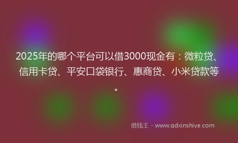 2025年的哪个平台可以借3000现金有：微粒贷、信用卡贷、平安口袋银行、惠商贷、小米贷款等。
