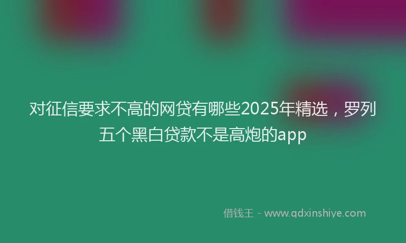 对征信要求不高的网贷有哪些2025年精选，罗列五个黑白贷款不是高炮的app