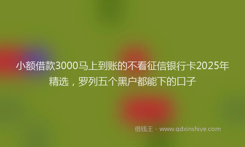 小额借款3000马上到账的不看征信银行卡2025年精选，罗列五个黑户都能下的口子
