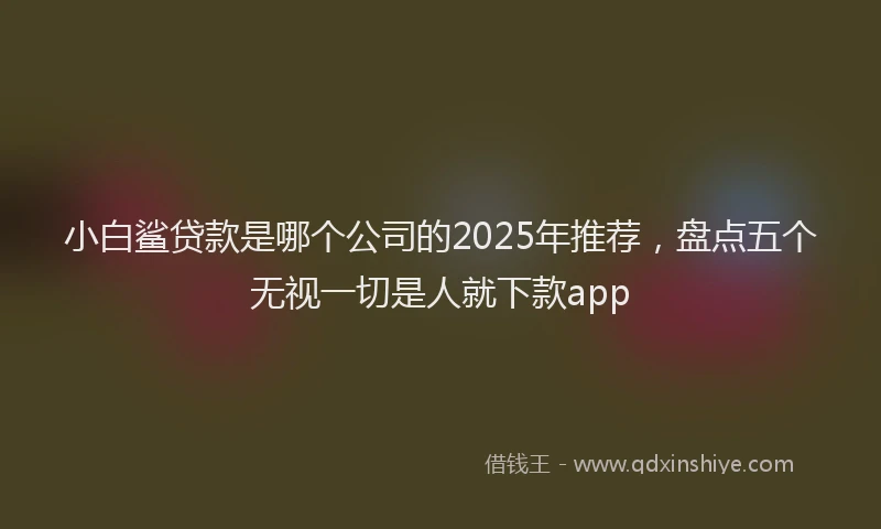 小白鲨贷款是哪个公司的2025年推荐，盘点五个无视一切是人就下款app
