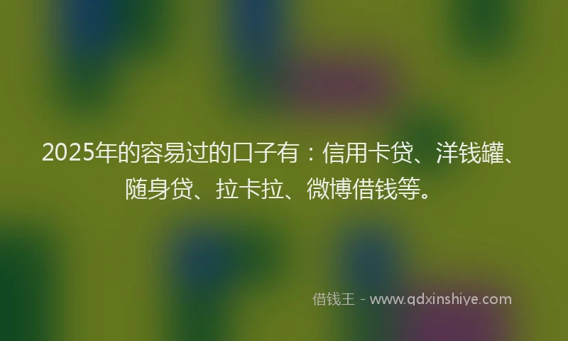 2025年的容易过的口子有：信用卡贷、洋钱罐、随身贷、拉卡拉、微博借钱等。