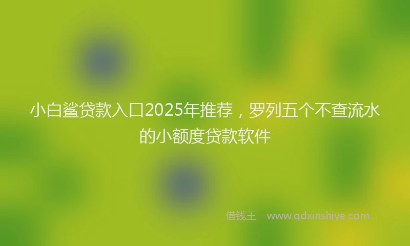 小白鲨贷款入口2025年推荐，罗列五个不查流水的小额度贷款软件