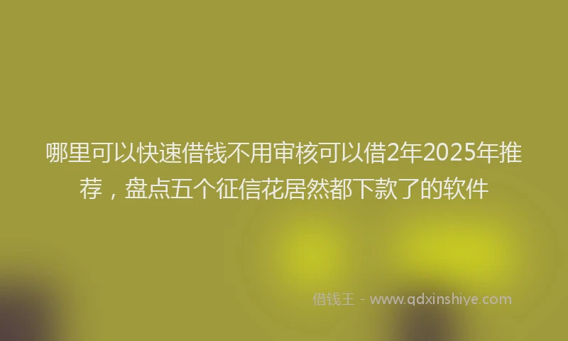 哪里可以快速借钱不用审核可以借2年2025年推荐，盘点五个征信花居然都下款了的软件