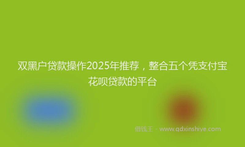 双黑户贷款操作2025年推荐，整合五个凭支付宝花呗贷款的平台