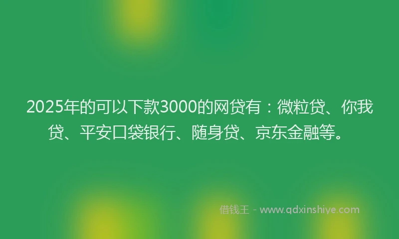 2025年的可以下款3000的网贷有：微粒贷、你我贷、平安口袋银行、随身贷、京东金融等。