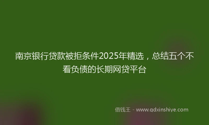 南京银行贷款被拒条件2025年精选，总结五个不看负债的长期网贷平台