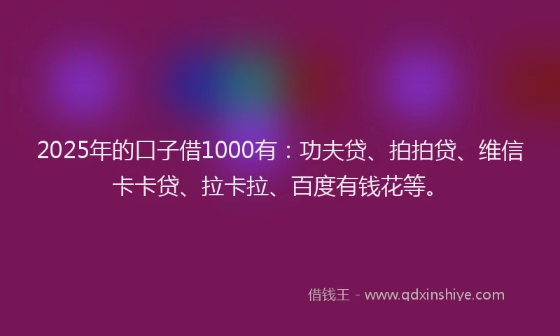 2025年的口子借1000有：功夫贷、拍拍贷、维信卡卡贷、拉卡拉、百度有钱花等。