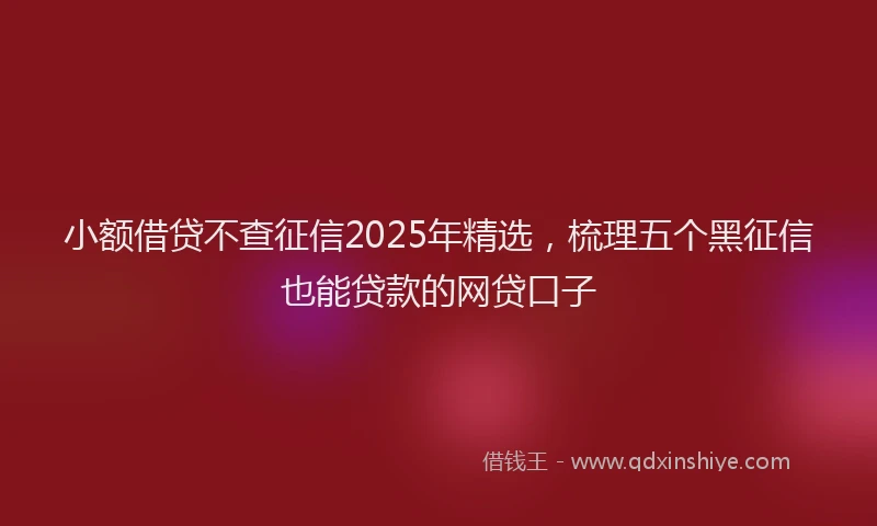 小额借贷不查征信2025年精选，梳理五个黑征信也能贷款的网贷口子