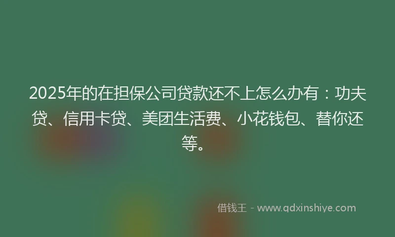 2025年的在担保公司贷款还不上怎么办有：功夫贷、信用卡贷、美团生活费、小花钱包、替你还等。