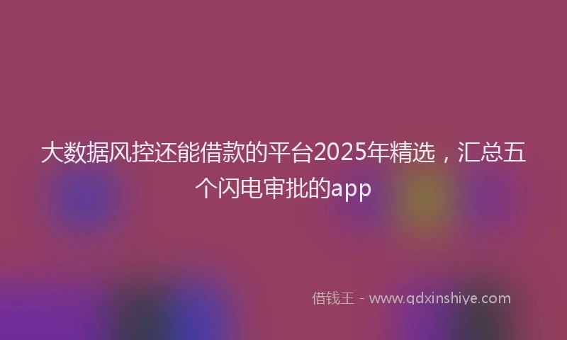 大数据风控还能借款的平台2025年精选，汇总五个闪电审批的app