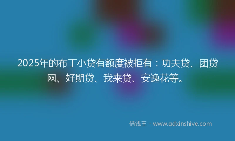 2025年的布丁小贷有额度被拒有：功夫贷、团贷网、好期贷、我来贷、安逸花等。