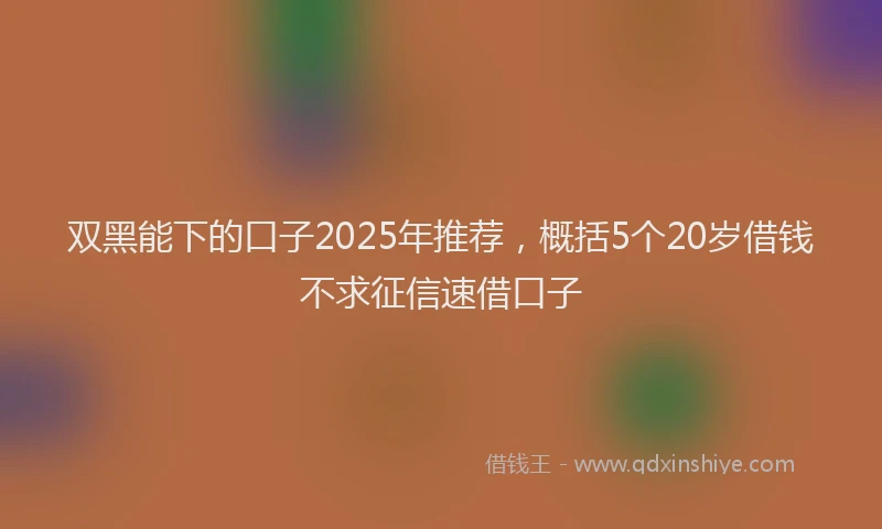 双黑能下的口子2025年推荐，概括5个20岁借钱不求征信速借口子