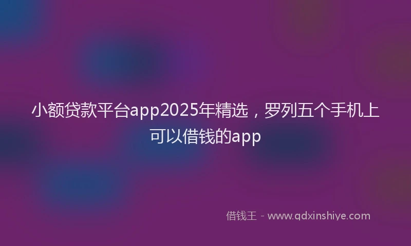 小额贷款平台app2025年精选，罗列五个手机上可以借钱的app