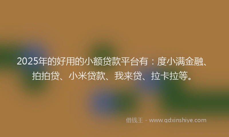 2025年的好用的小额贷款平台有：度小满金融、拍拍贷、小米贷款、我来贷、拉卡拉等。