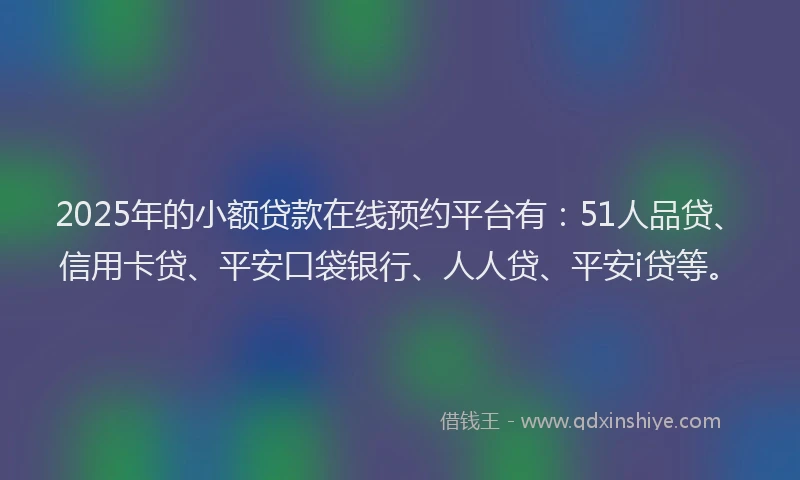 2025年的小额贷款在线预约平台有：51人品贷、信用卡贷、平安口袋银行、人人贷、平安i贷等。